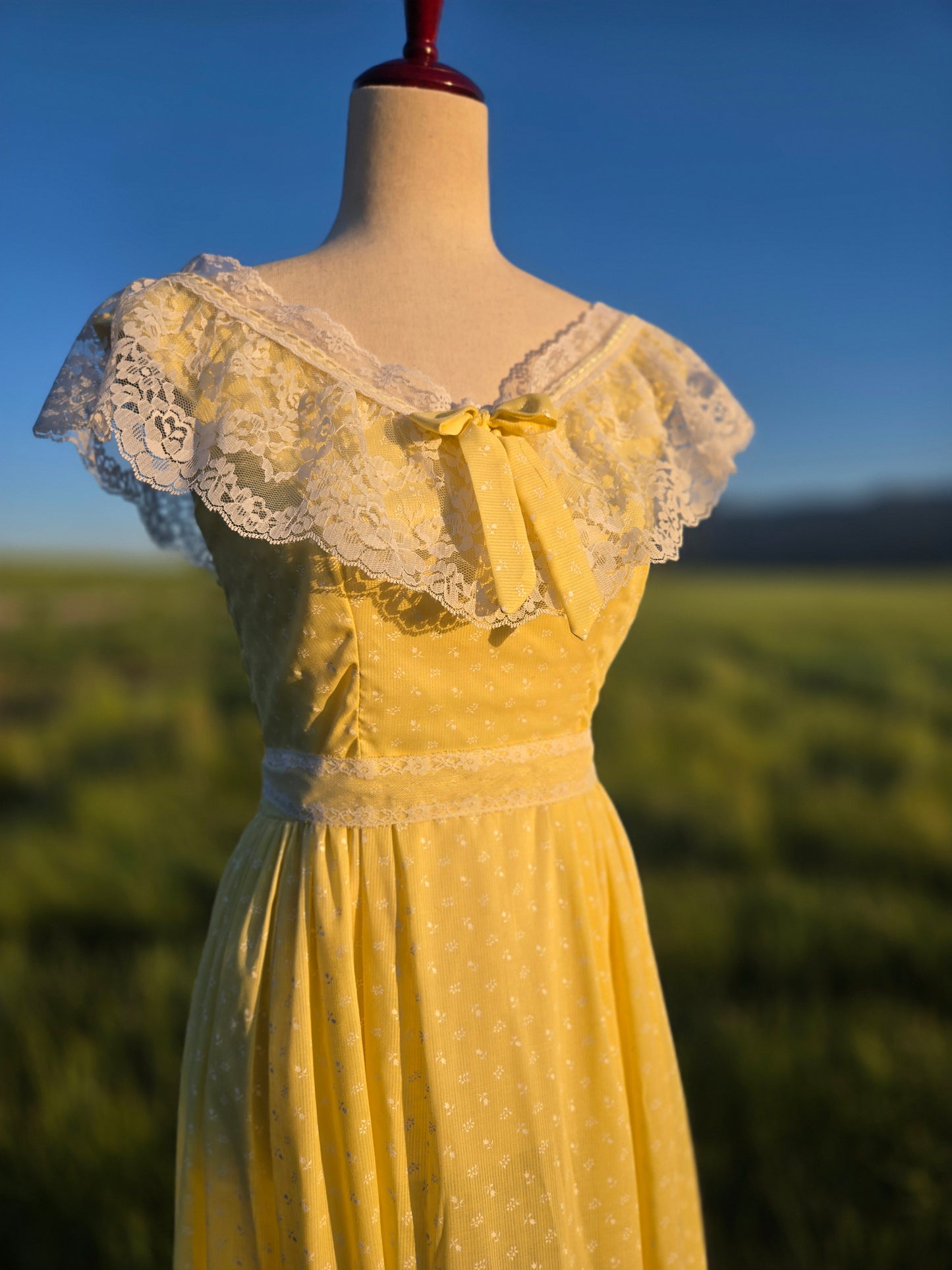 1970s Cotton Prairie Lace and Florals Dress - small