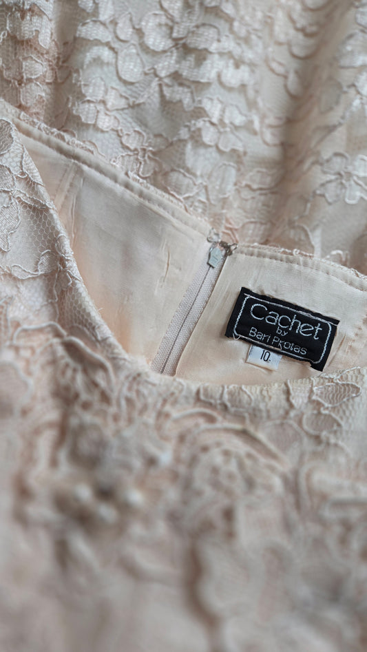 Cachet by Bari Protas Vintage Pale Pink Lace Formal Dress - S