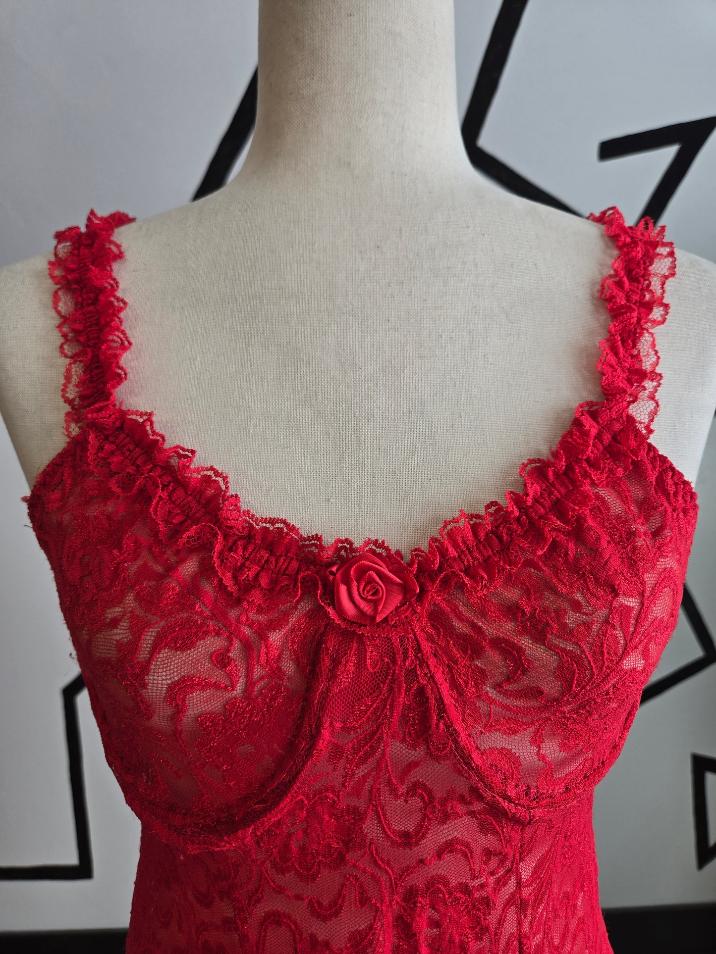 Inner Most Vintage Red Lace Shear Dress with Boning in Bust - medium