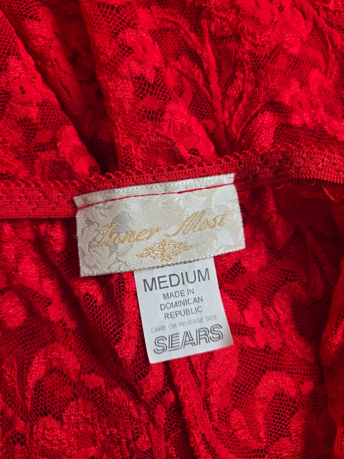 Inner Most Vintage Red Lace Shear Dress with Boning in Bust - medium