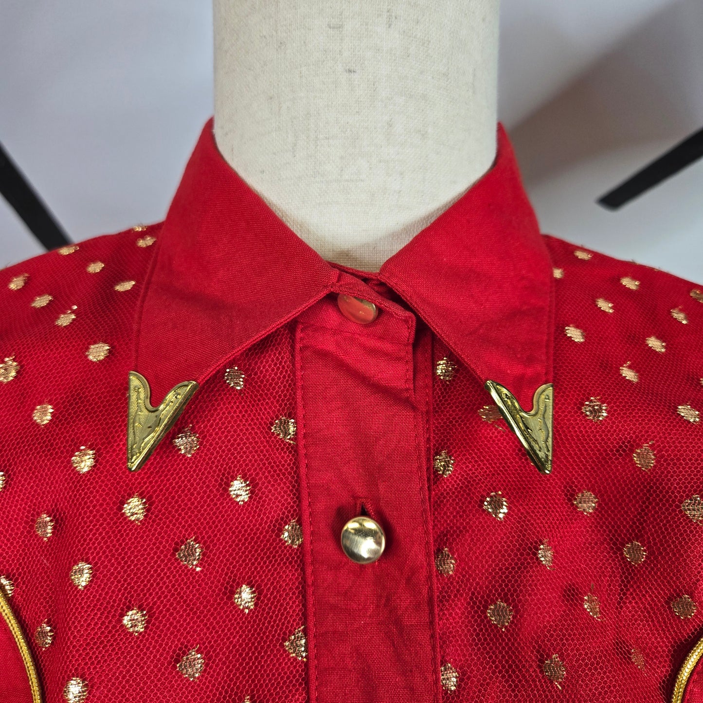 Lilia Smith Exclusive Vintage 70s Western Red and Gold Dress