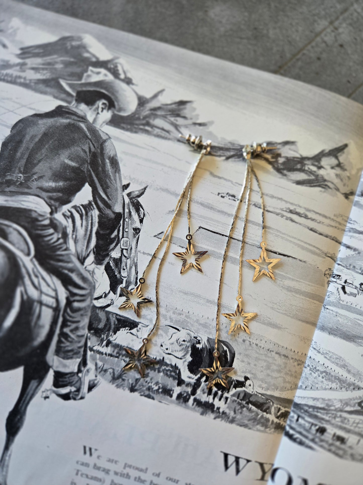 Silver Star Dangle Earrings - Pierced