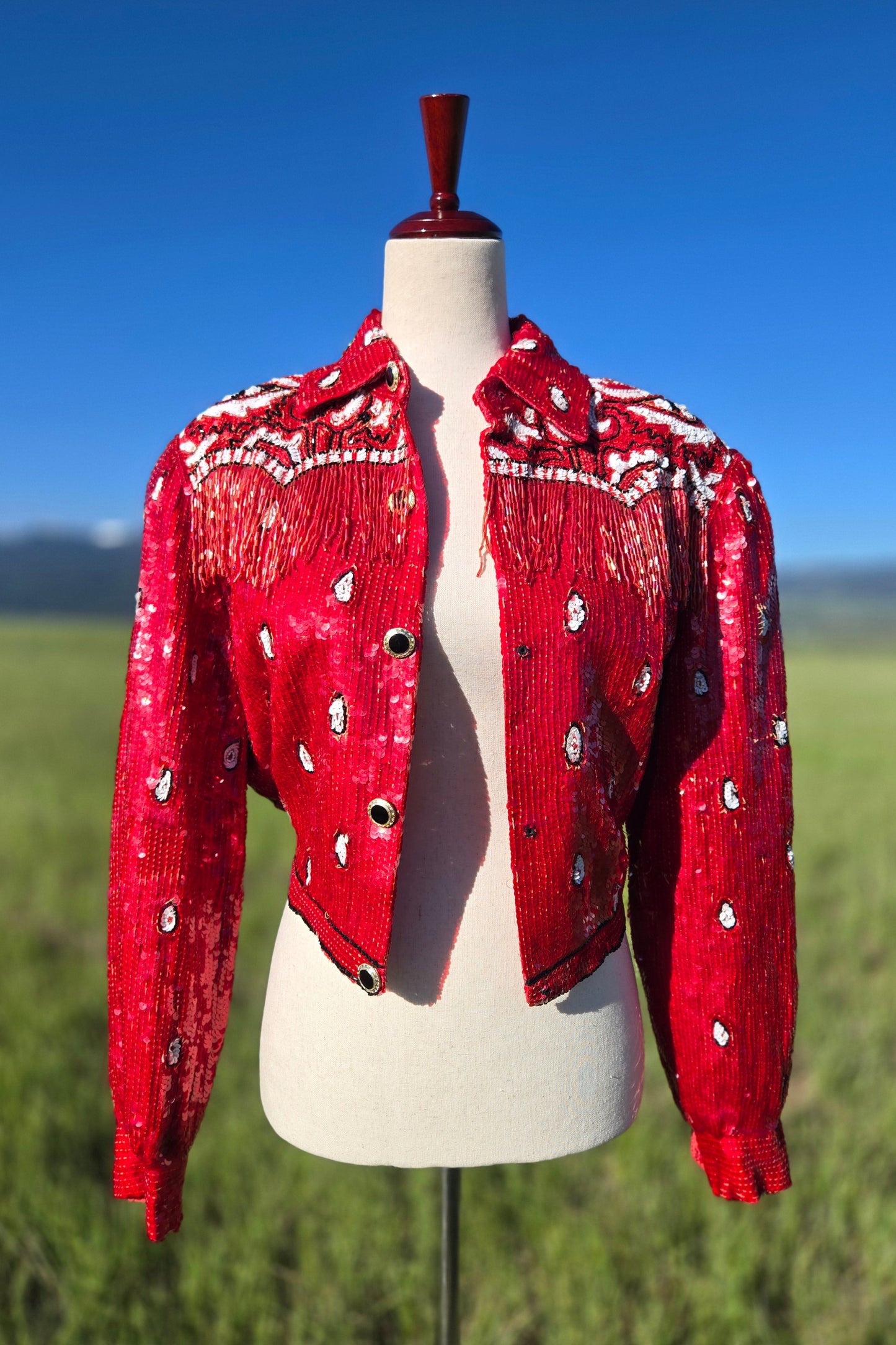 Lillie Rubin Vintage Sequin Western Crop Silk Jacket with Beaded Fringe - small