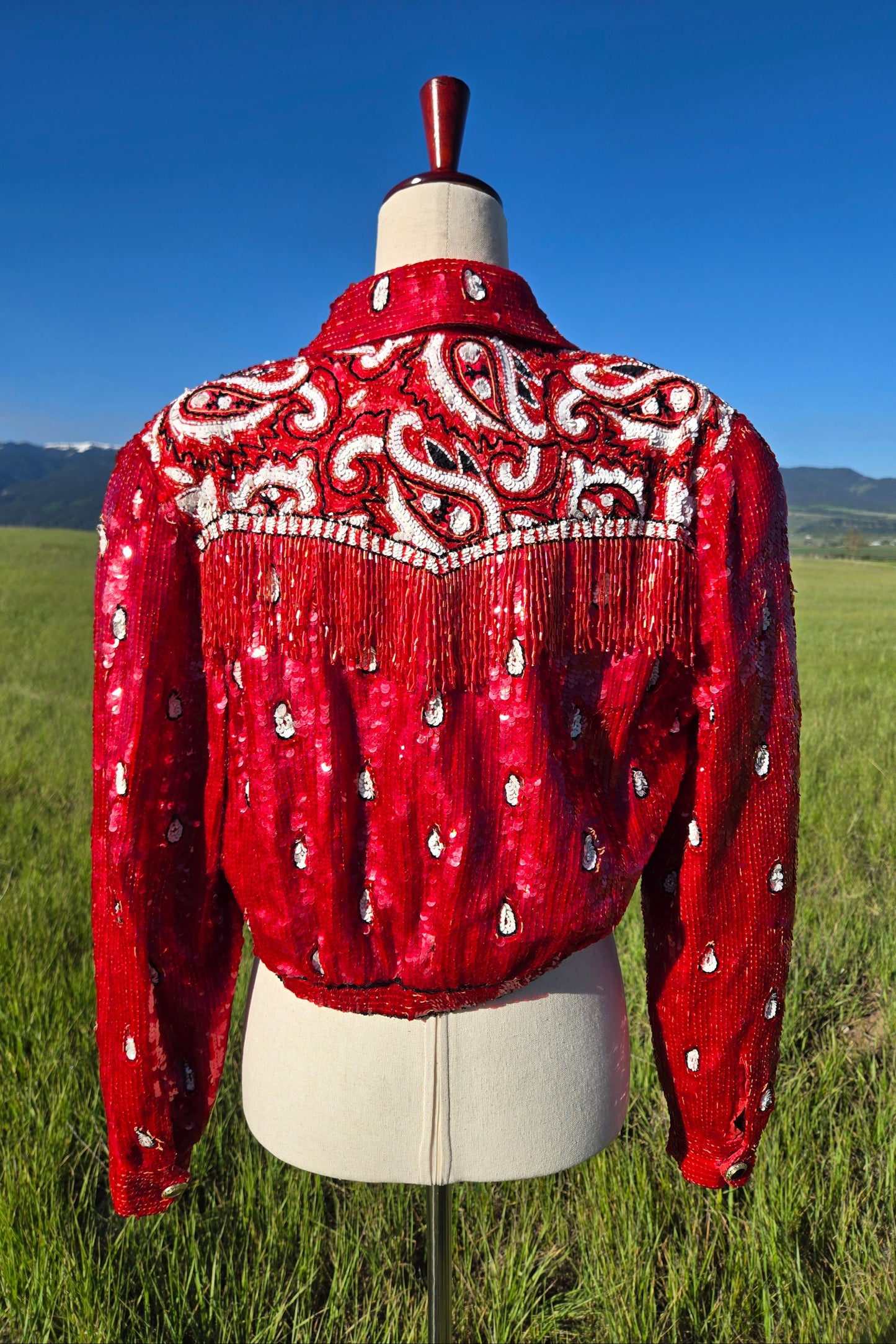Lillie Rubin Vintage Sequin Western Crop Silk Jacket with Beaded Fringe - small