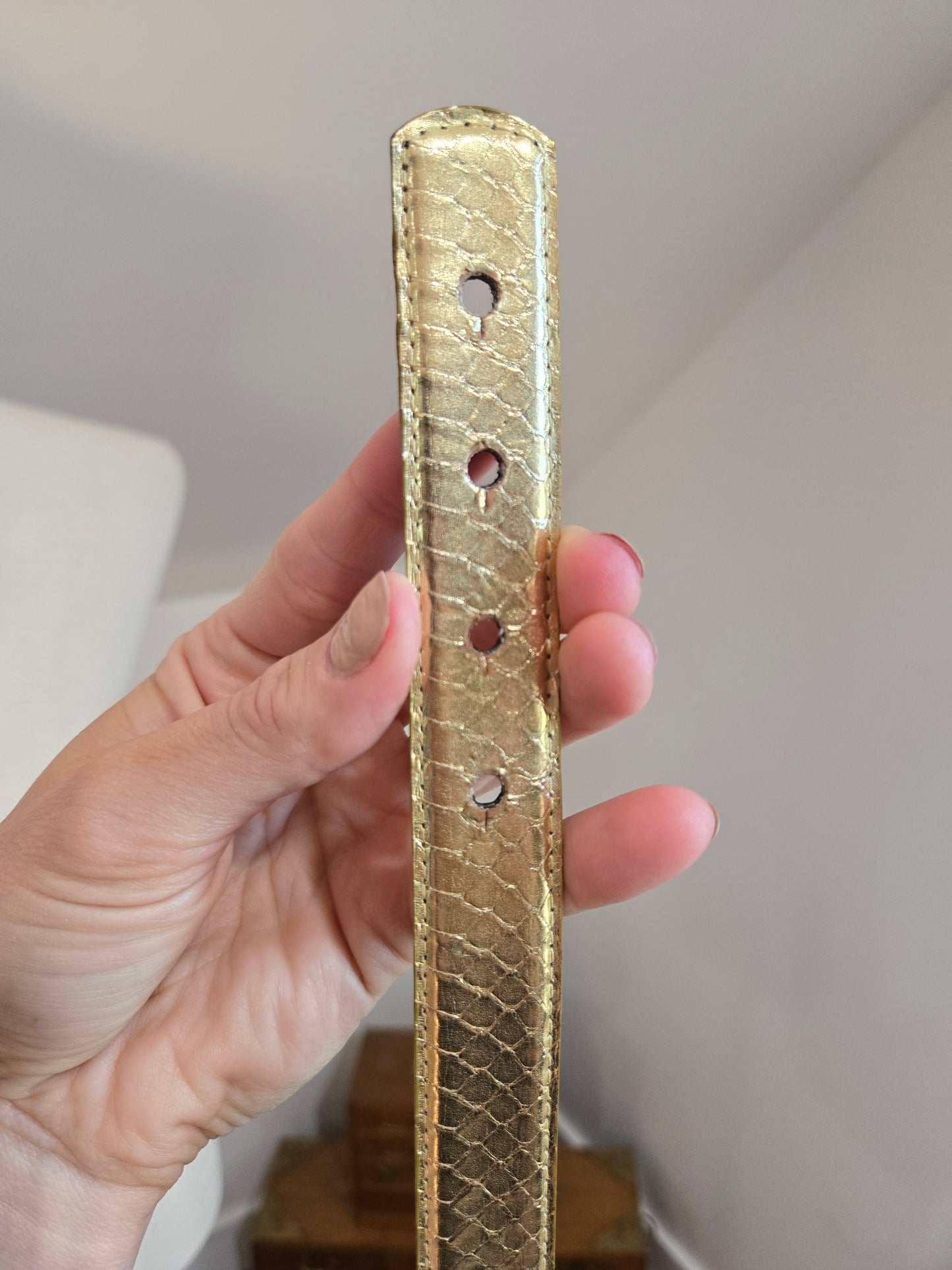 Sunco Vintage Gold Snakeskin Belt with Mixed Metal Decoration - W27-29"
