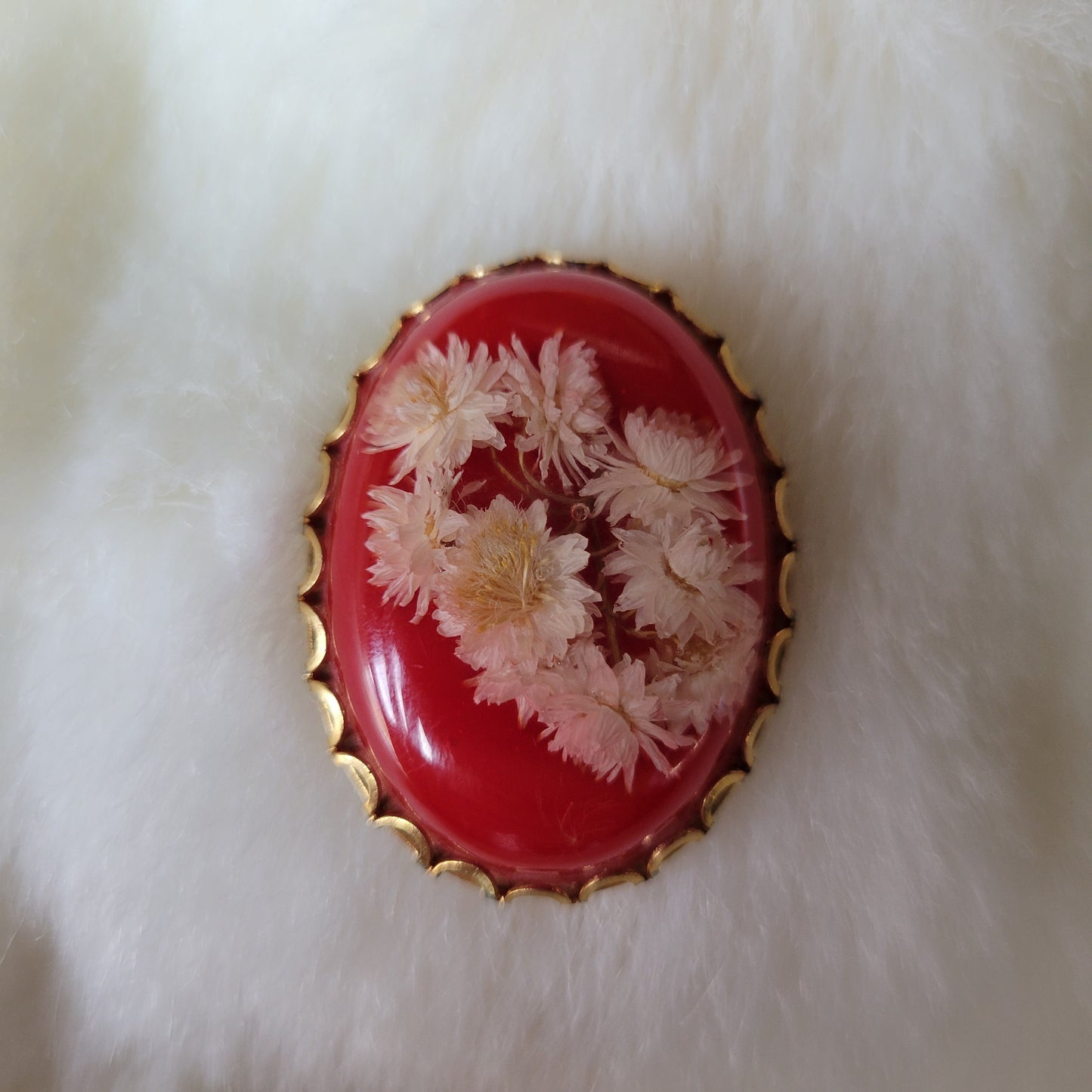 Lucite Filled Gold Prong Set Real Floral Cameo Vintage Brooch