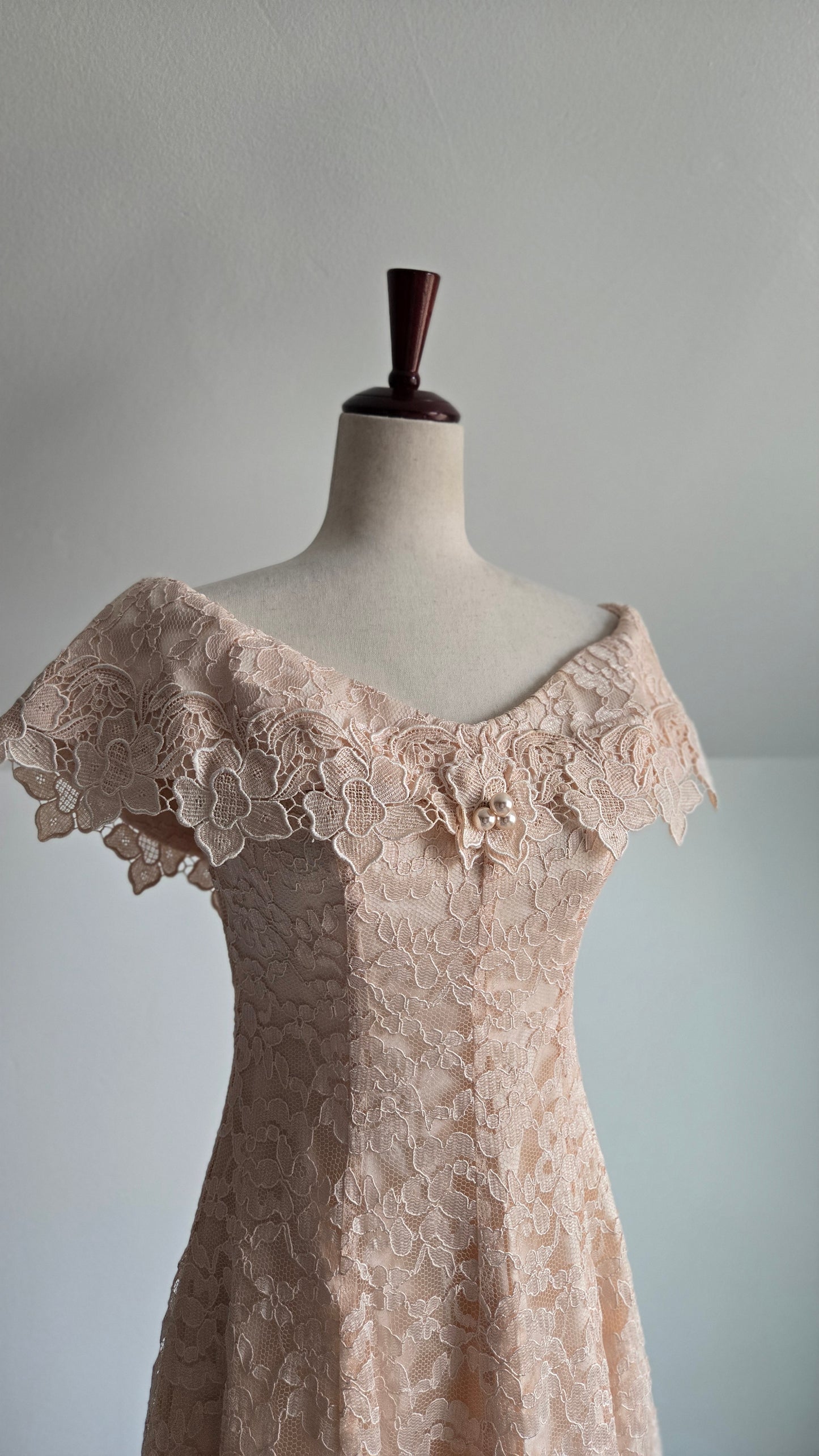 Cachet by Bari Protas Vintage Pale Pink Lace Formal Dress - S