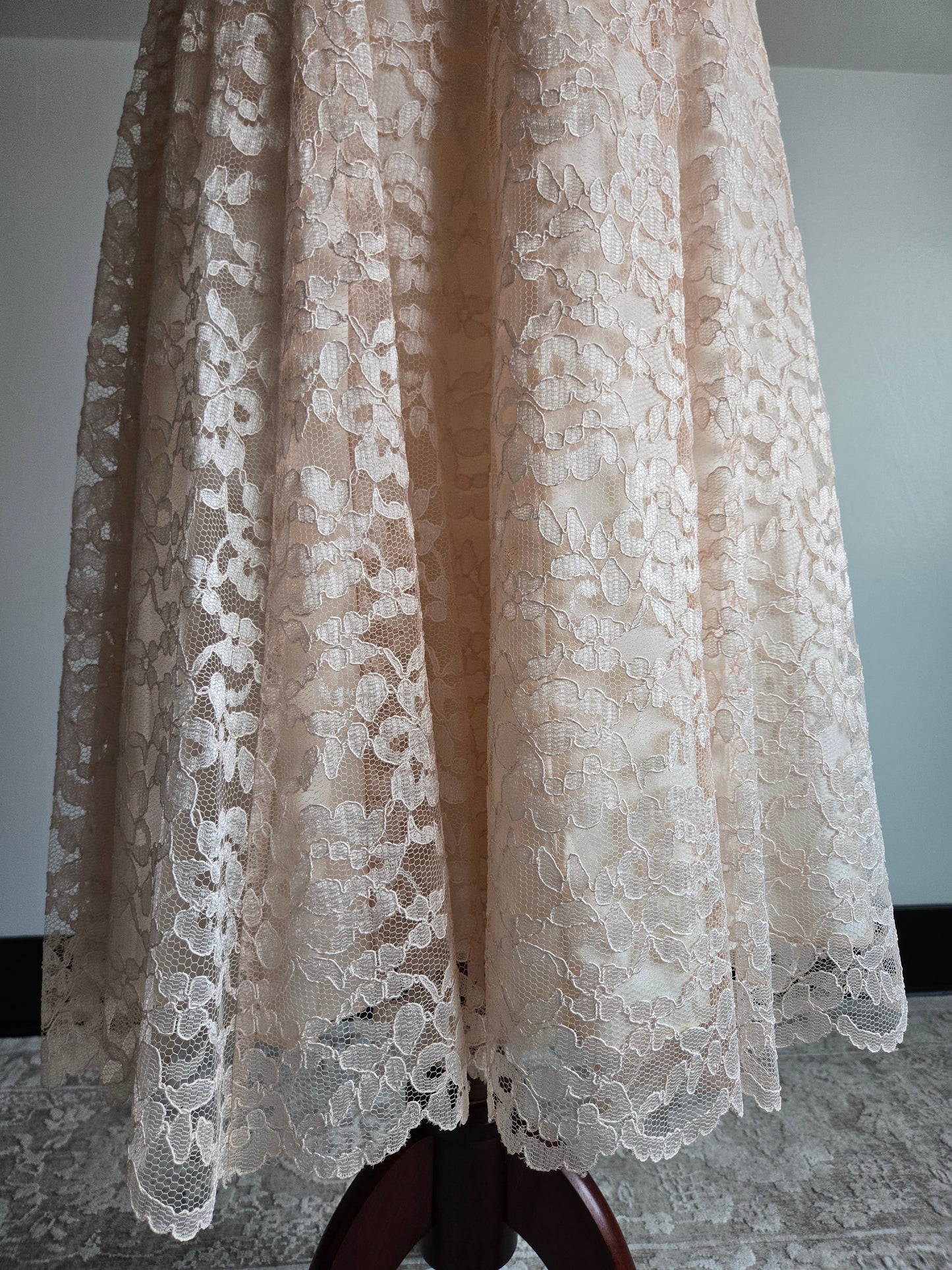 Cachet by Bari Protas Vintage Pale Pink Lace Formal Dress - S