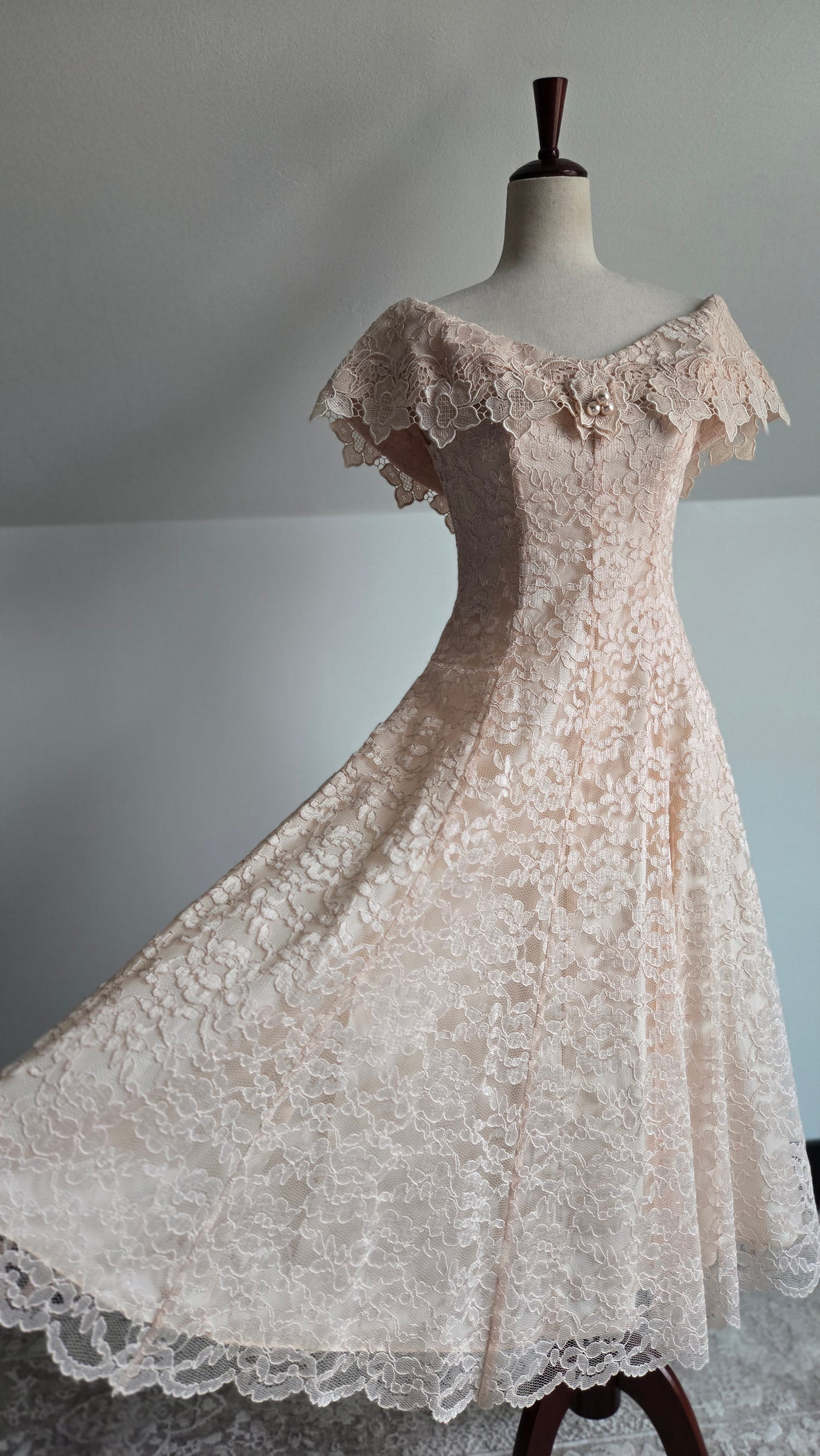 Cachet by Bari Protas Vintage Pale Pink Lace Formal Dress - S