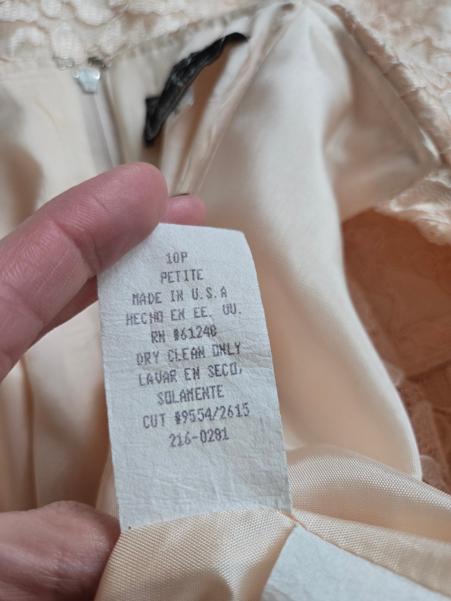 Cachet by Bari Protas Vintage Pale Pink Lace Formal Dress - S