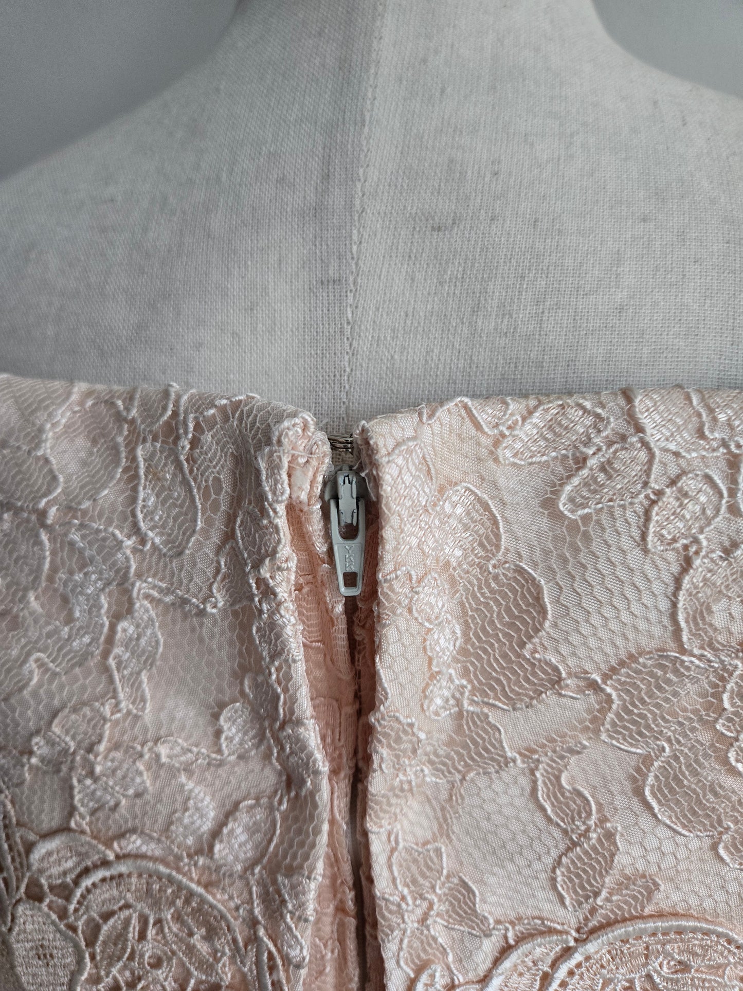 Cachet by Bari Protas Vintage Pale Pink Lace Formal Dress - S