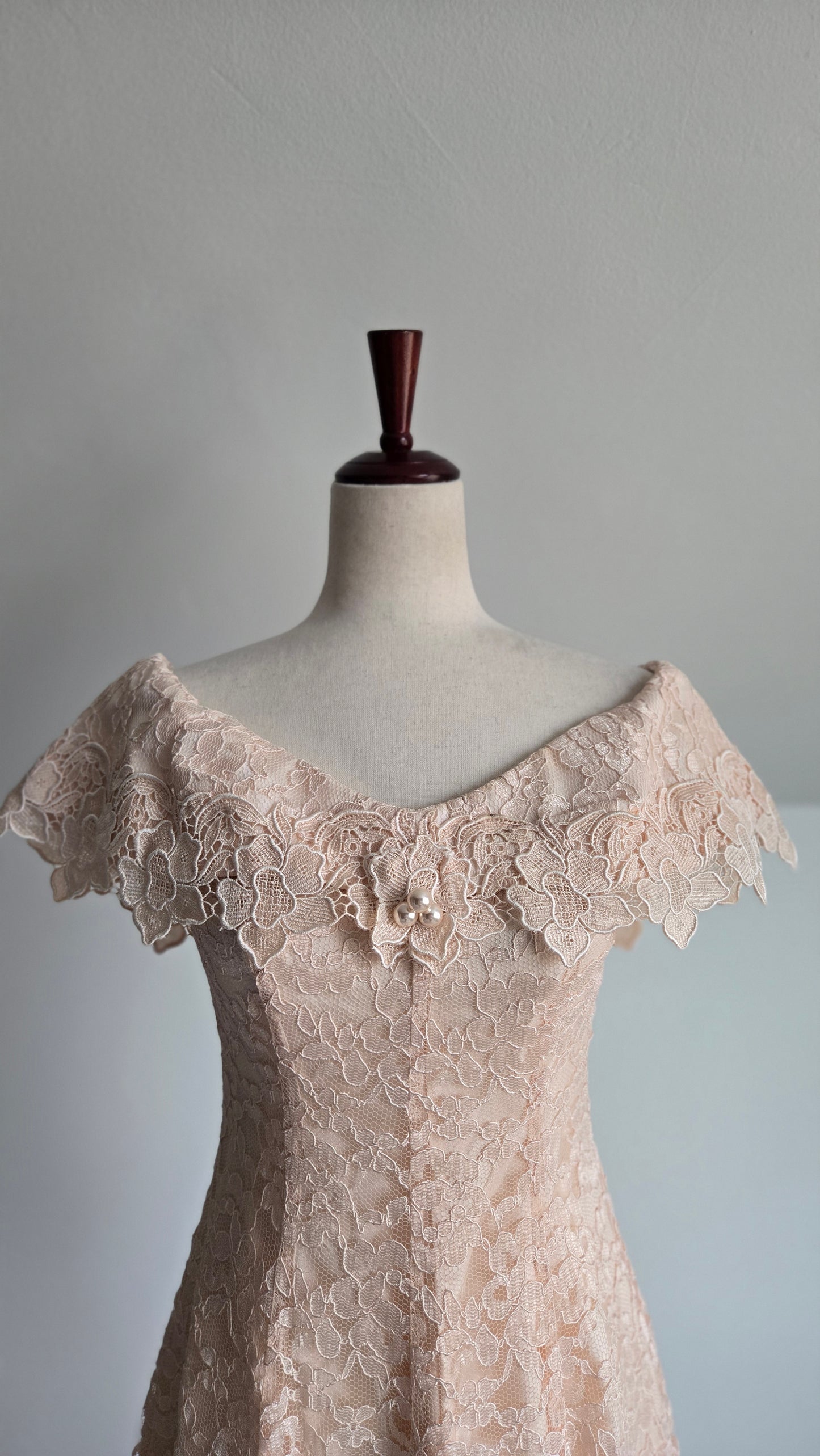 Cachet by Bari Protas Vintage Pale Pink Lace Formal Dress - S