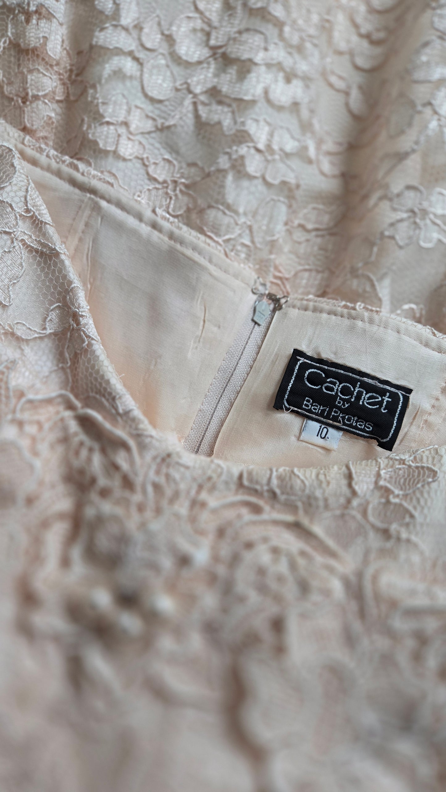 Cachet by Bari Protas Vintage Pale Pink Lace Formal Dress - S