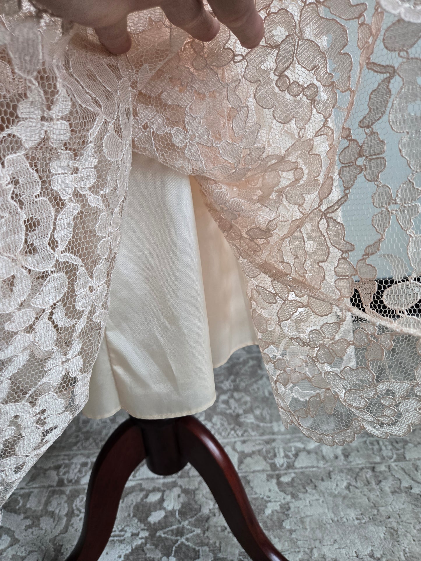 Cachet by Bari Protas Vintage Pale Pink Lace Formal Dress - S