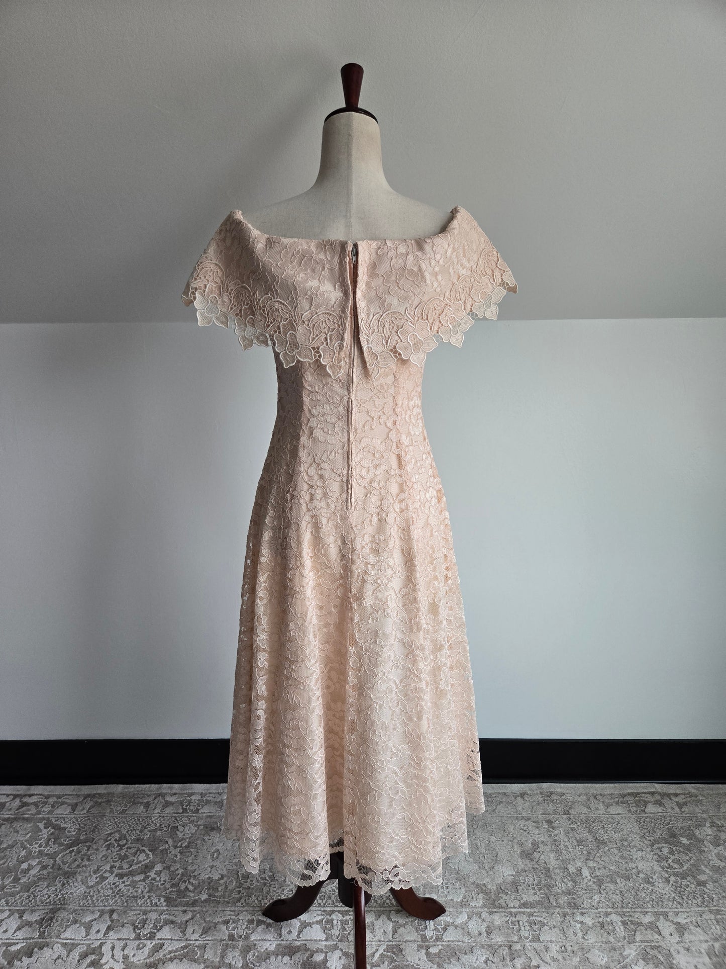 Cachet by Bari Protas Vintage Pale Pink Lace Formal Dress - S