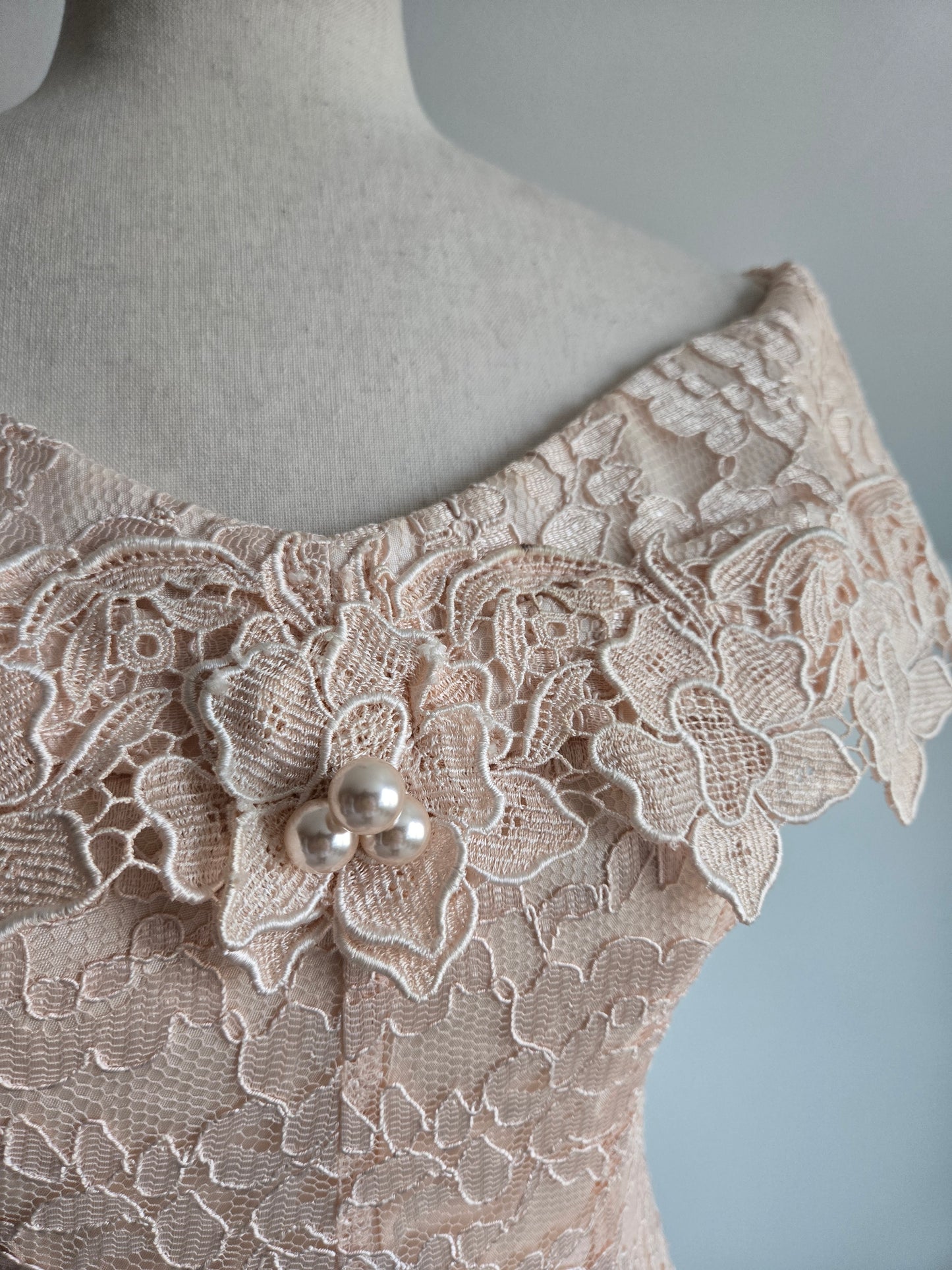 Cachet by Bari Protas Vintage Pale Pink Lace Formal Dress - S