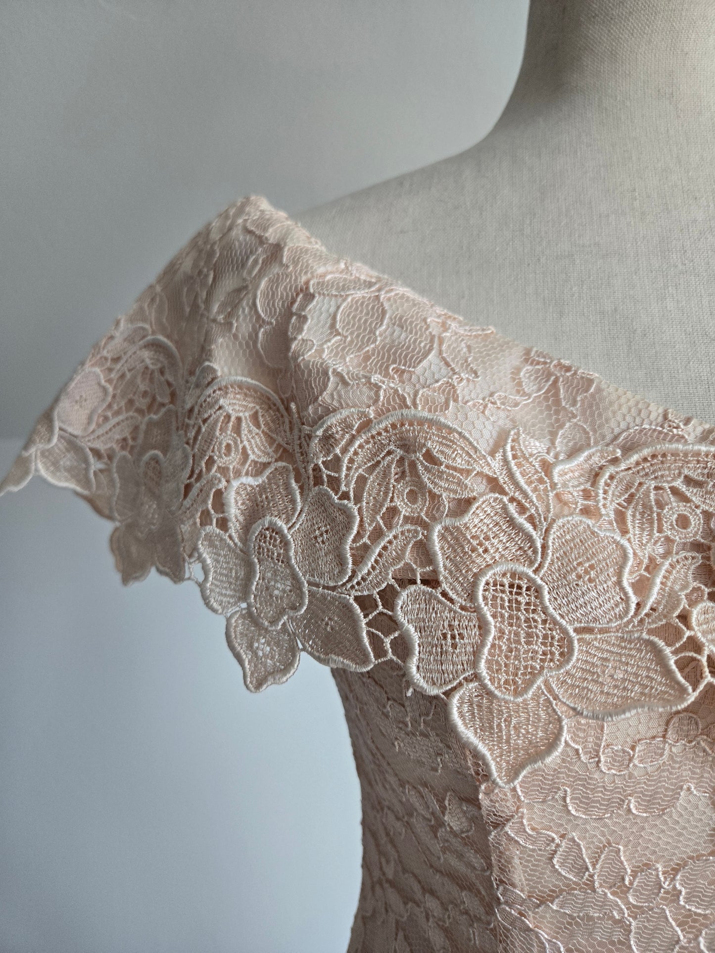 Cachet by Bari Protas Vintage Pale Pink Lace Formal Dress - S