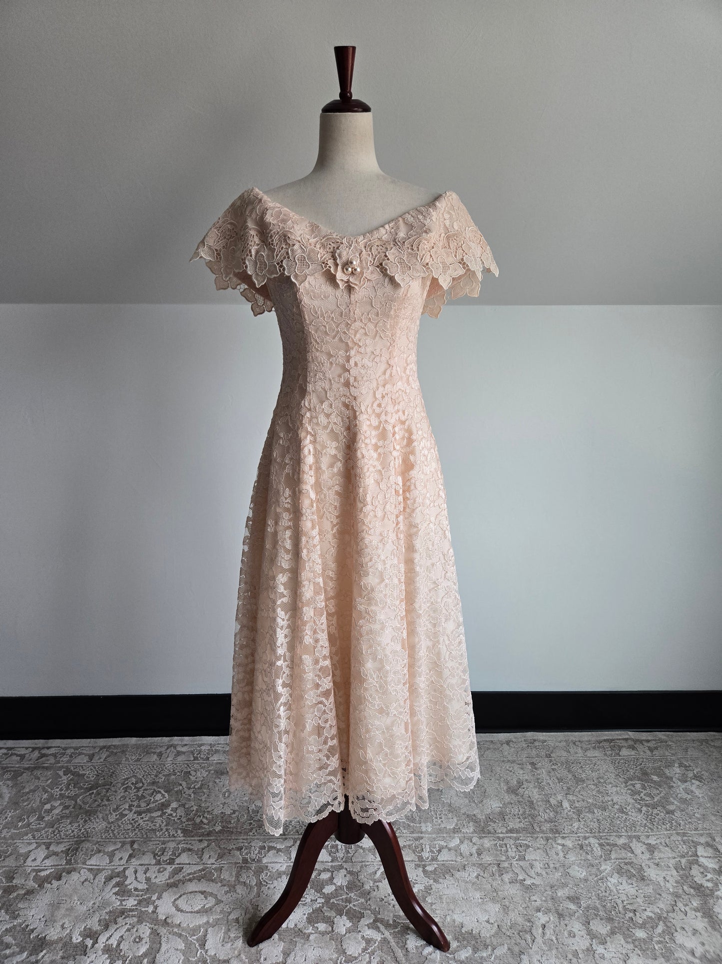 Cachet by Bari Protas Vintage Pale Pink Lace Formal Dress - S