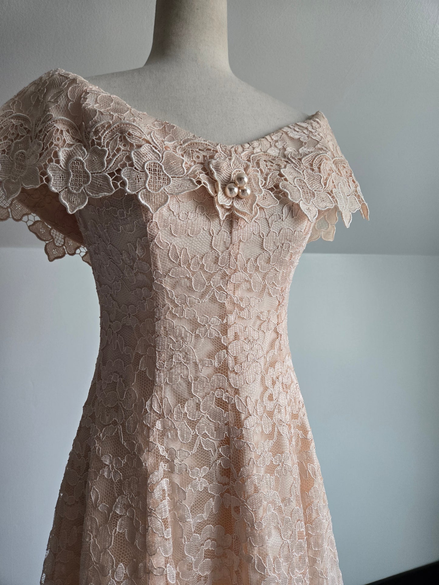 Cachet by Bari Protas Vintage Pale Pink Lace Formal Dress - S