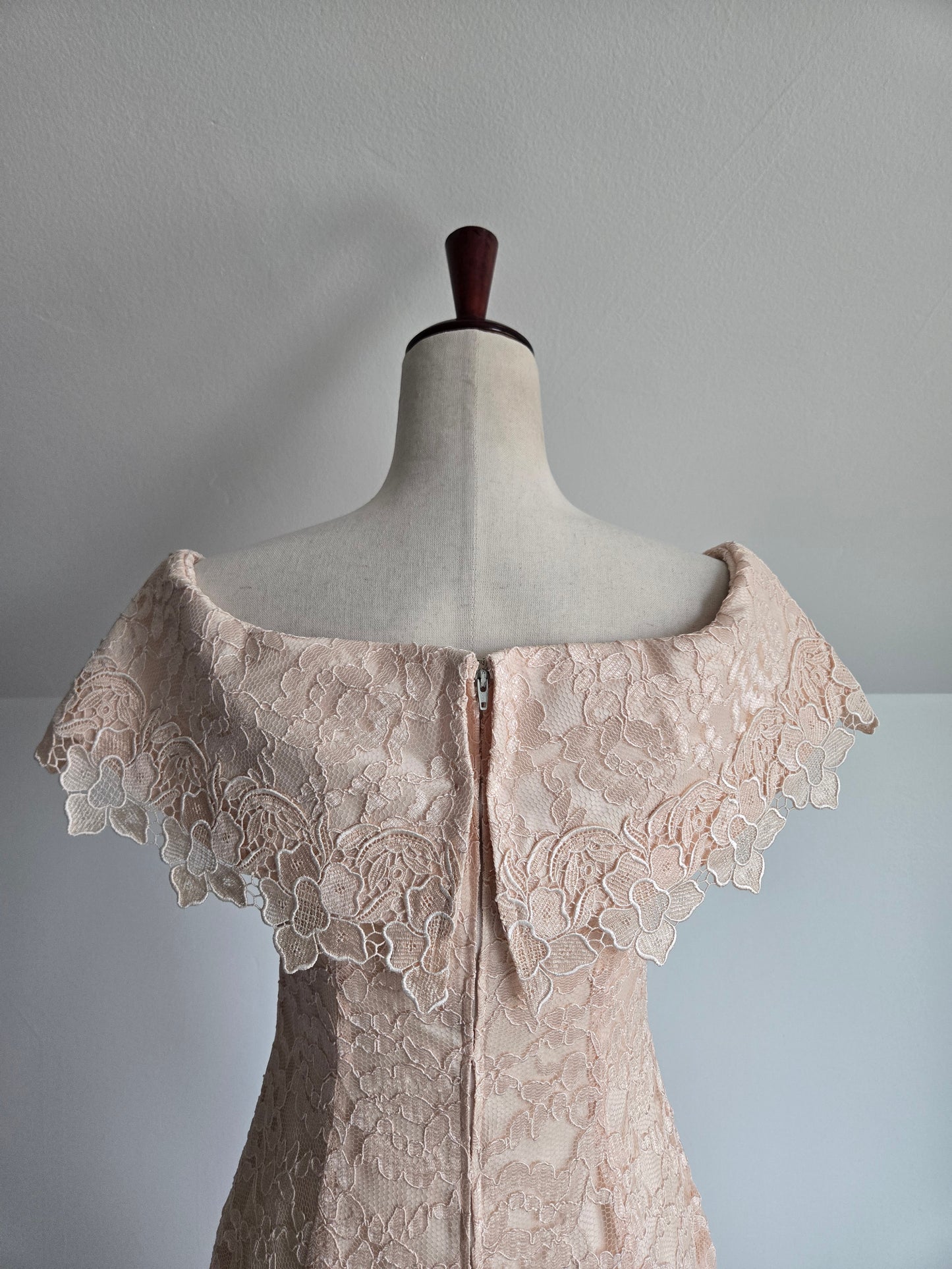 Cachet by Bari Protas Vintage Pale Pink Lace Formal Dress - S