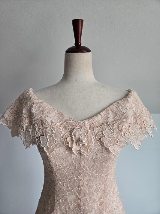 Cachet by Bari Protas Vintage Pale Pink Lace Formal Dress - S