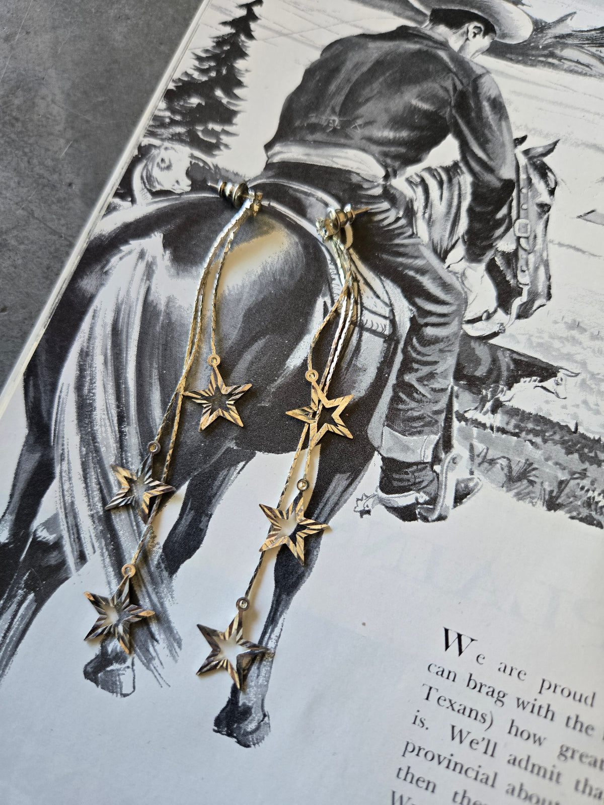 Silver Star Dangle Earrings - Pierced
