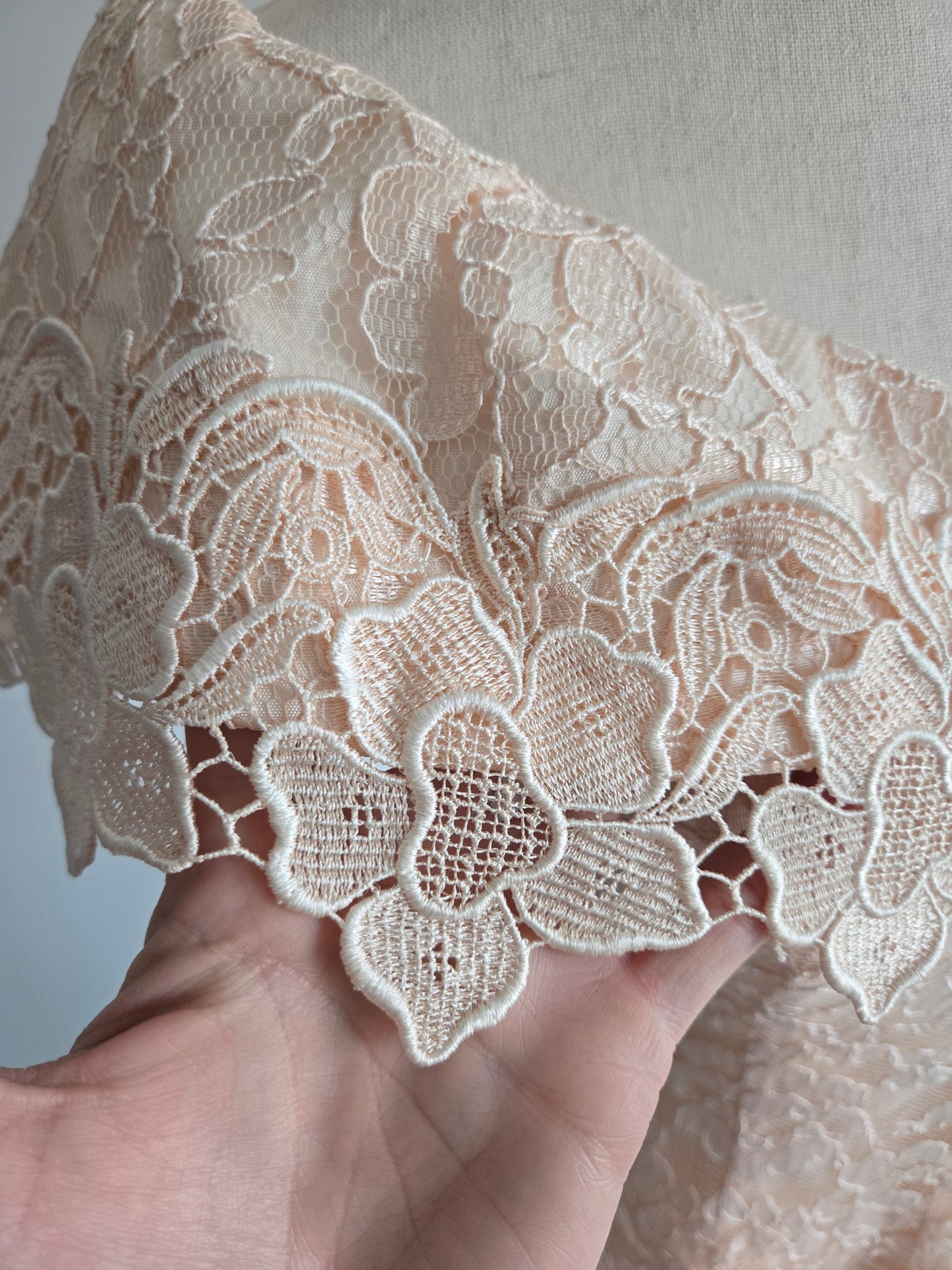 Cachet by Bari Protas Vintage Pale Pink Lace Formal Dress - S