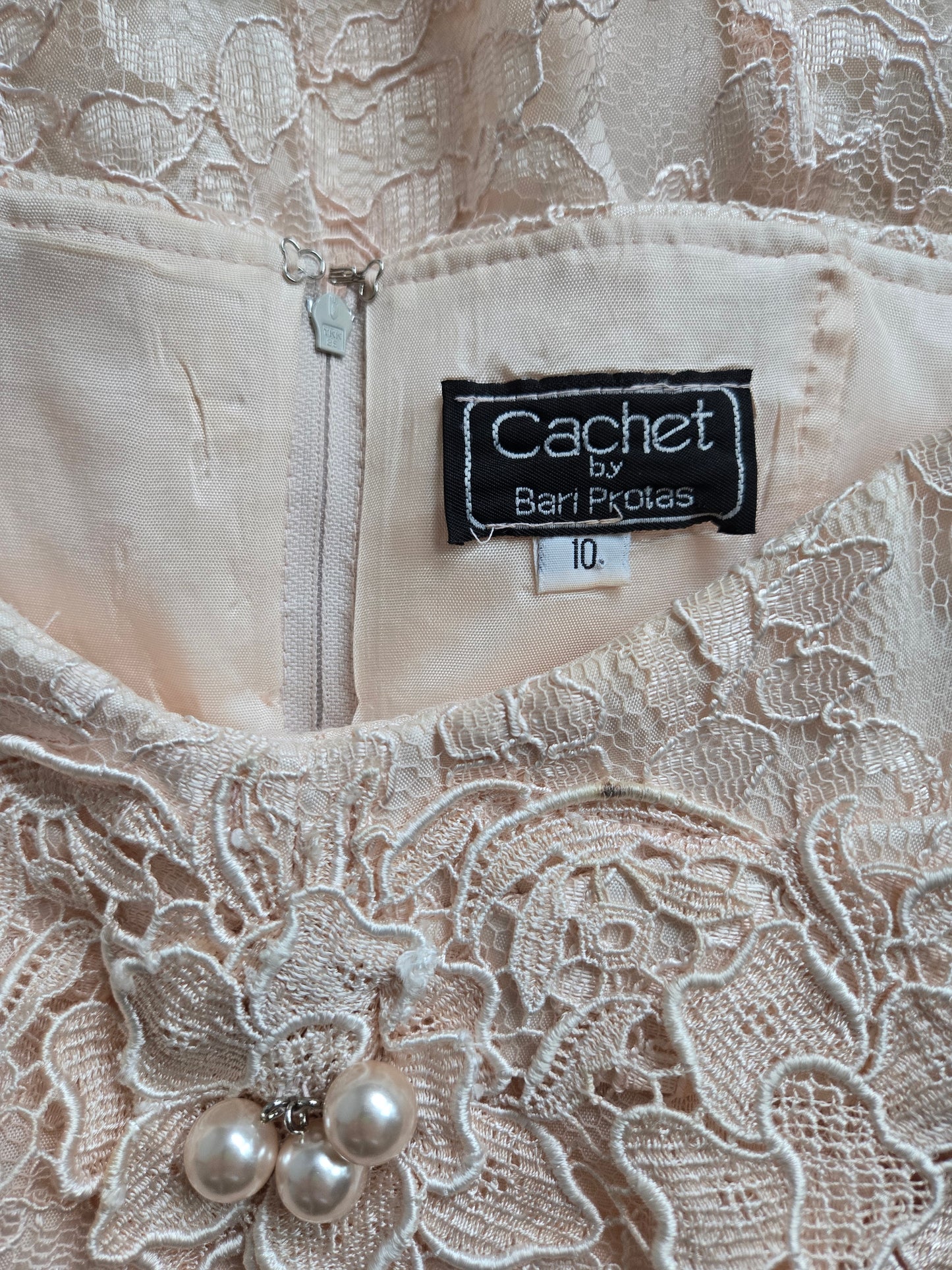 Cachet by Bari Protas Vintage Pale Pink Lace Formal Dress - S